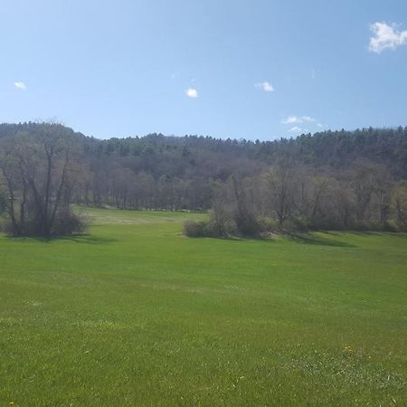 مبيت وإفطار Lakeville A Meadow House المظهر الخارجي الصورة